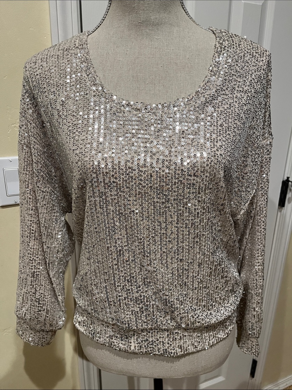 Dex Sequin Long Sleeve Top in Champagne